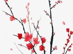 屬兔戴什么手串,屬兔佩戴什么手串旺財