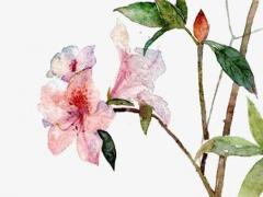 看手相能看出幾段婚姻嗎 看手相能看出幾個孩子嗎