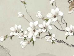 算命老師說全陰是什么意思 算命老師是學霸