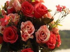 顏值高的反而都單身,對就是這些星座