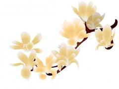 1964年10月31日6時八字 2023年6出生月出生的八字