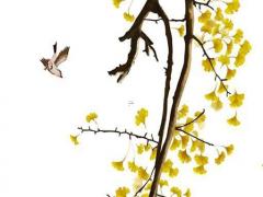 屬兔女很命苦 屬兔女命運好嗎