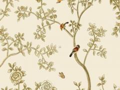 2023年屬猴的女性婚姻狀況 2023年屬猴