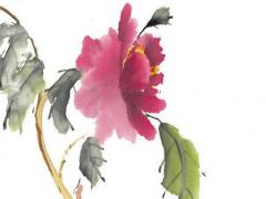 屬兔1999年男,屬兔1999年男從前哪些行業