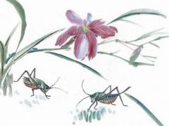 2023年有正月三十嗎,2023年正月十三是幾號