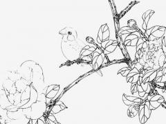 71年屬豬女的感情,1971年屬豬的女人愛(ài)情