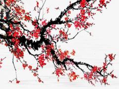 屬鼠辦公桌擺件,屬鼠人辦公室桌面擺什么