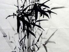 屬兔男和屬馬女婚配建議,屬兔男和屬馬女婚姻相配嗎？