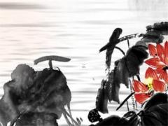 屬兔在鼠年桃花運好嗎,屬兔和屬鼠的今年桃花運