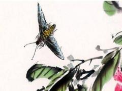 屬鼠女跟屬啥的最合,屬鼠女和哪個生肖最合適