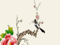 排生辰八字是什么意思 生辰八字排盤怎么排