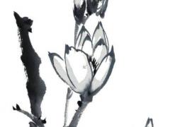 屬牛女孩幾點出生最好 屬牛女孩幾點出生比較好