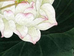 李居明十二生肖每月運程 李居明十二生肖運勢