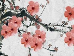 ***被拋棄后聰明的做法 男人徹底愛(ài)上***是什么樣子