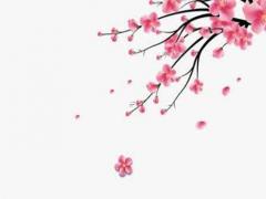 婚姻相信八字不合嗎 婚姻相不相信八字