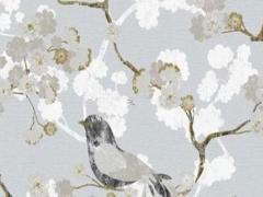 2000出生屬龍的今年幾歲,2000屬龍的今年虛歲多大