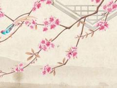 女人相研究第三章 女人相痣圖解大全