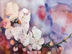 超好聽(tīng)的寶寶名字大全 2021好聽(tīng)的寶寶名