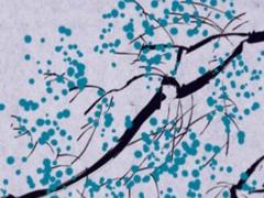 1999年屬兔幾月最好,1999年那個(gè)月兔最好