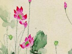 八字全陽的人沒有魂 全陽八字的為什么不算