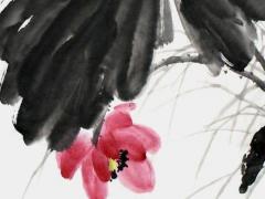 如何才能生兒子呢視頻教學(xué) 怎么才能生兒子科學(xué)方法