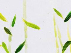 男朋友過兔本命年送什么禮物好,男朋友本命年要送什么