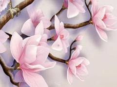 屬虎人2023運勢女,屬虎人2023運程