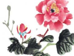 屬鼠的女生和什么屬相男生最配對(duì),屬鼠的女生和什么屬性的男人好