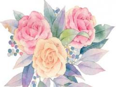 屬兔2023年全年運勢運程女性,屬兔2023年全年運勢運程女性婚姻如何