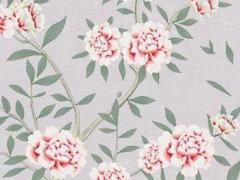 女人***提出離婚老公不離怎么辦 女人***還想離婚 男方堅持不理