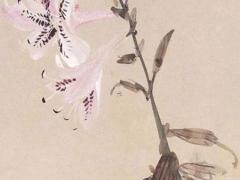 女虎男兔結婚好嗎 女虎男兔2021年適合結婚嗎