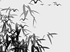 命里缺木的人最忌諱什么顏色 五行缺木不是一般人