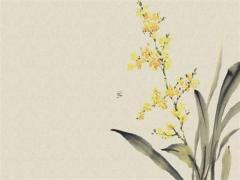 60歲老公有外遇管不管 60歲了老公有外遇該不該離婚