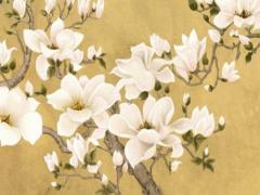 屬豬女配哪個屬相最好,屬豬女和什么屬相配婚最好