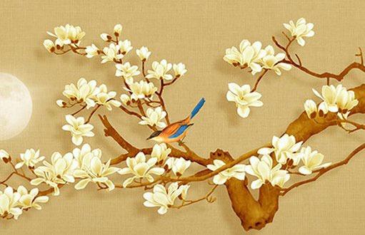 本命年的運氣好嗎,本命年的運氣好嗎女孩 本命年的運氣好嗎,本命年的運氣好嗎女孩