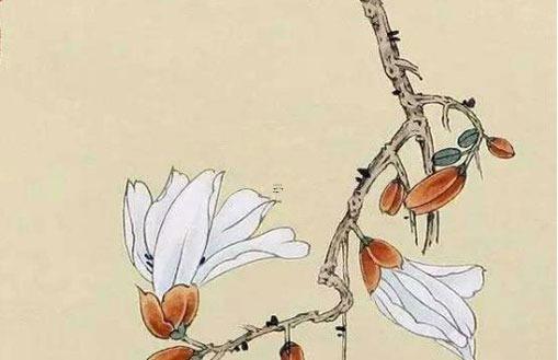 72年屬鼠晚年,72年屬鼠晚年幸福嗎 72年屬鼠晚年,72年屬鼠晚年幸福嗎