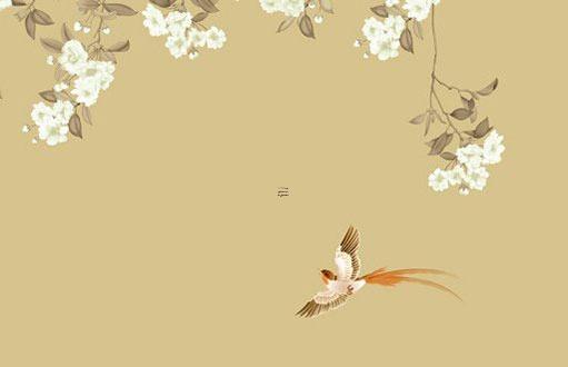 屬蛇最佳手機號碼 屬蛇的人選什么手機號碼最好 屬蛇最佳手機號碼 屬蛇的人選什么手機號碼最好