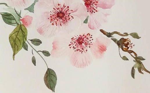 帶金的男孩名字 帶金的男孩名字推薦 帶金的男孩名字 帶金的男孩名字推薦