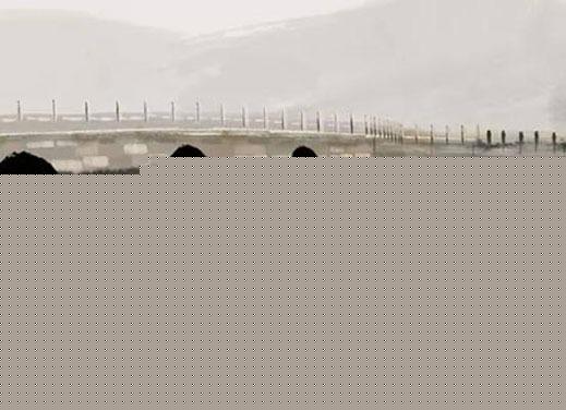 婚姻相克的生肖婚配結婚怎么辦 婚配相克的生肖有哪些 婚姻相克的生肖婚配結婚怎么辦 婚配相克的生肖有哪些