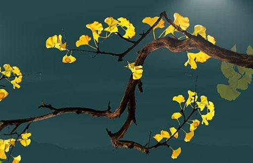 屬猴的人92年,屬猴人92年的什么時(shí)候發(fā)點(diǎn)財(cái) 屬猴的人92年,屬猴人92年的什么時(shí)候發(fā)點(diǎn)財(cái)