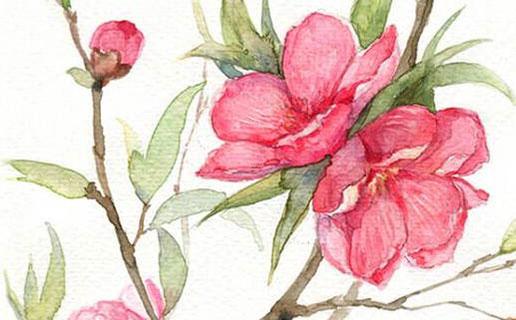 壬寅年起名要求 名字如人推陳出新 壬寅年起名要求 名字如人推陳出新