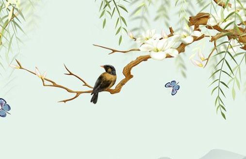 屬龍穿什么顏色衣服好,屬龍穿什么顏色衣服好呢 屬龍穿什么顏色衣服好,屬龍穿什么顏色衣服好呢