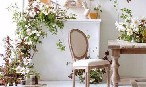 星座日志大全 星座日志大全