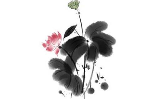 兔年本命年可以穿兔 兔年本命年可以穿兔