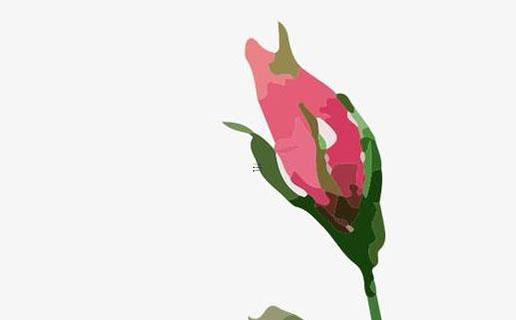 酷炫霸氣的游戲名字 霸氣炫酷的游戲名女 酷炫霸氣的游戲名字 霸氣炫酷的游戲名女