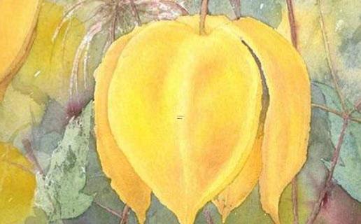 ktv好聽的名字大全 ktv好聽的名字大全