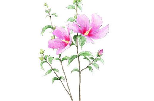 十月農(nóng)歷十四 農(nóng)歷十月十四出生的女孩命運 十月農(nóng)歷十四 農(nóng)歷十月十四出生的女孩命運