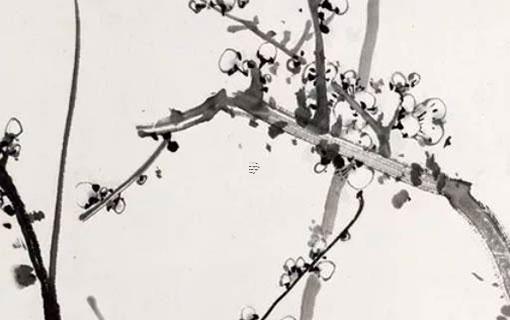 男人四十性功能下降吃什么 男人四十性功能下降應該服什么藥 男人四十性功能下降吃什么 男人四十性功能下降應該服什么藥