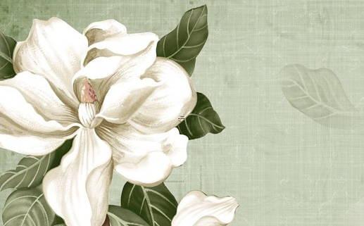 八字男命婚姻星屬性 男八字婚姻看什么 八字男命婚姻星屬性 男八字婚姻看什么