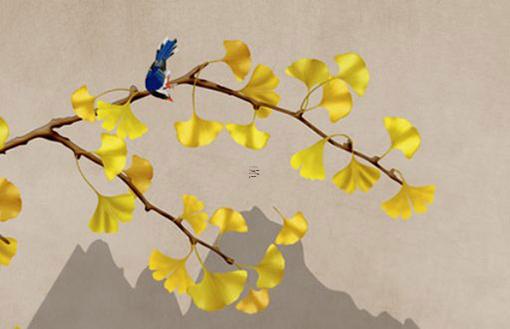 2019年林姓寶寶起名宜用字 2019年林姓寶寶起名宜用字嗎 2019年林姓寶寶起名宜用字 2019年林姓寶寶起名宜用字嗎